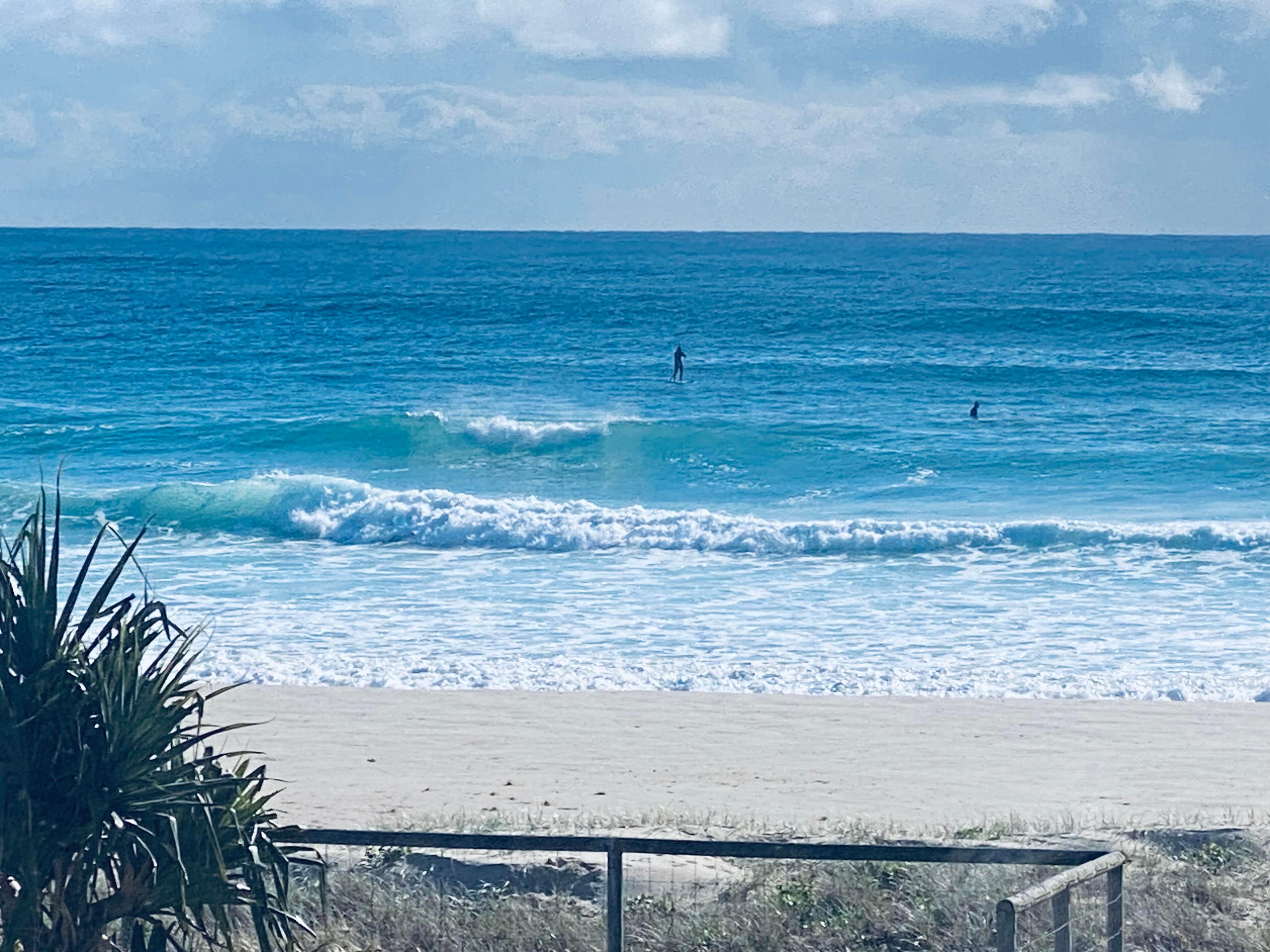 Palm Beach